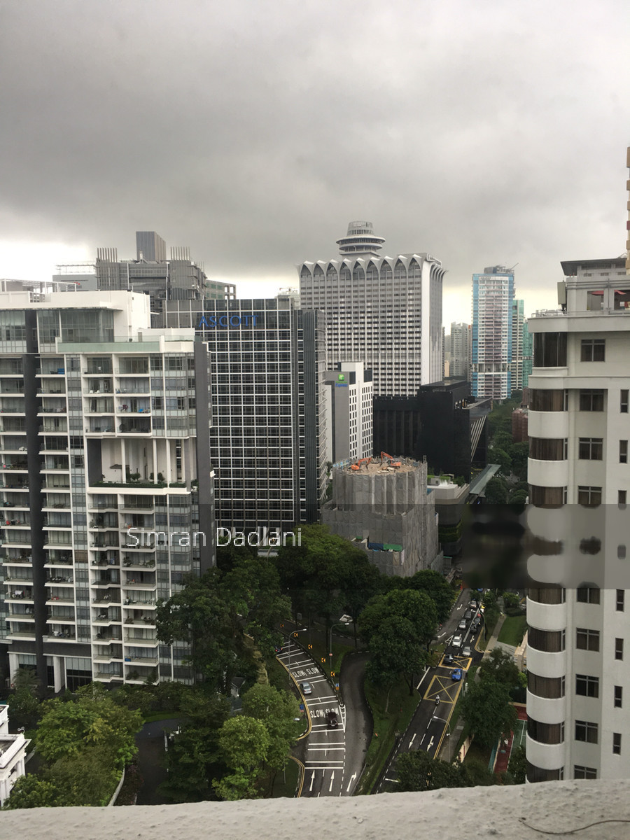 Cairnhill Plaza (D9), Apartment #135136162